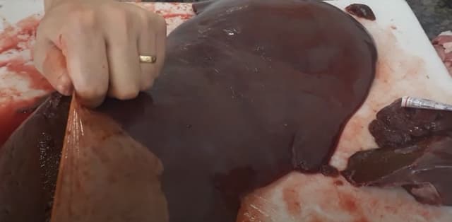 Como tirar a pele do fígado bovino
