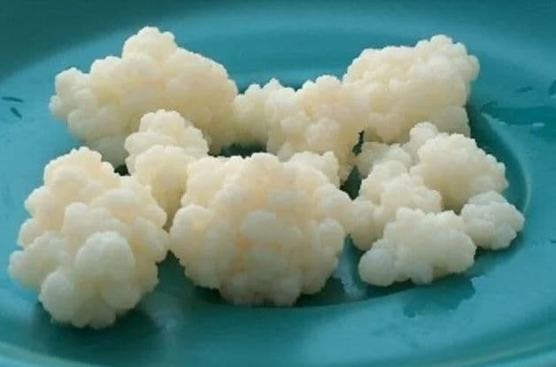 Tudo Sobre Kefir