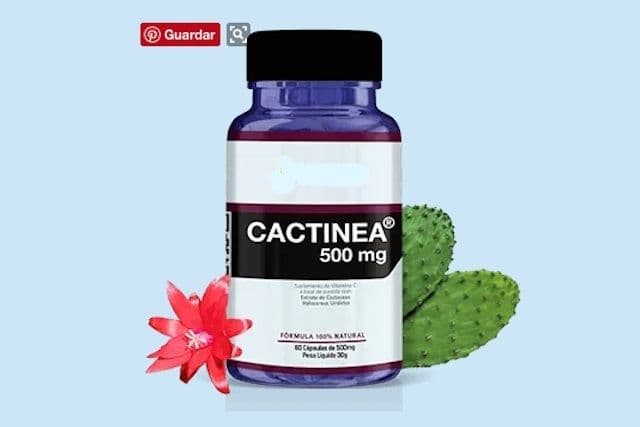  Cactinea e emagrecimento