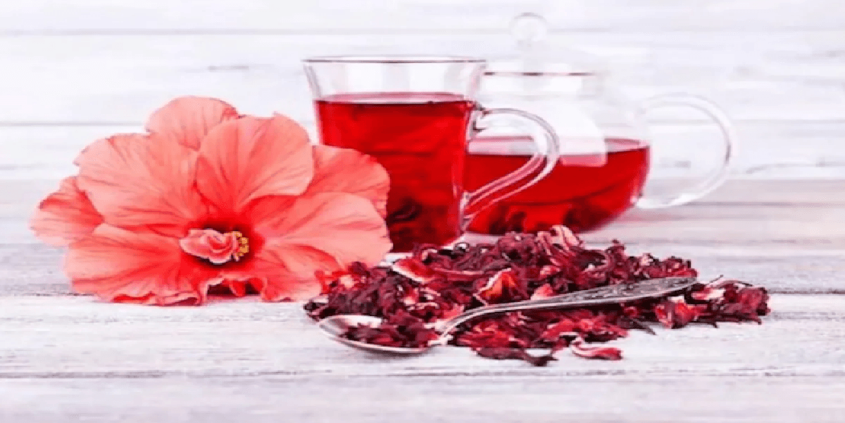 Chá de hibisco para pressão alta - Receita de Vovó