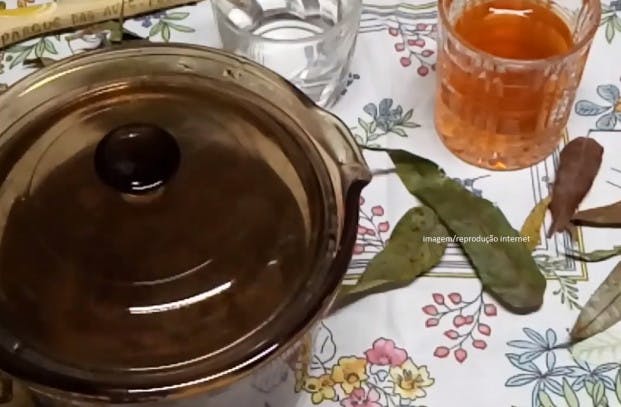 Como fazer o chá de Pariri