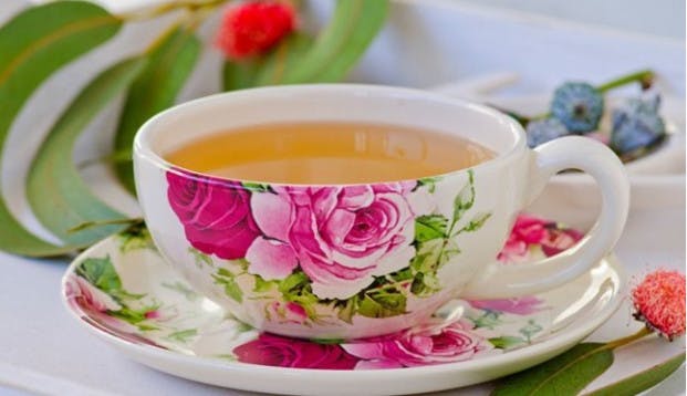 Receita de chá para sinusite