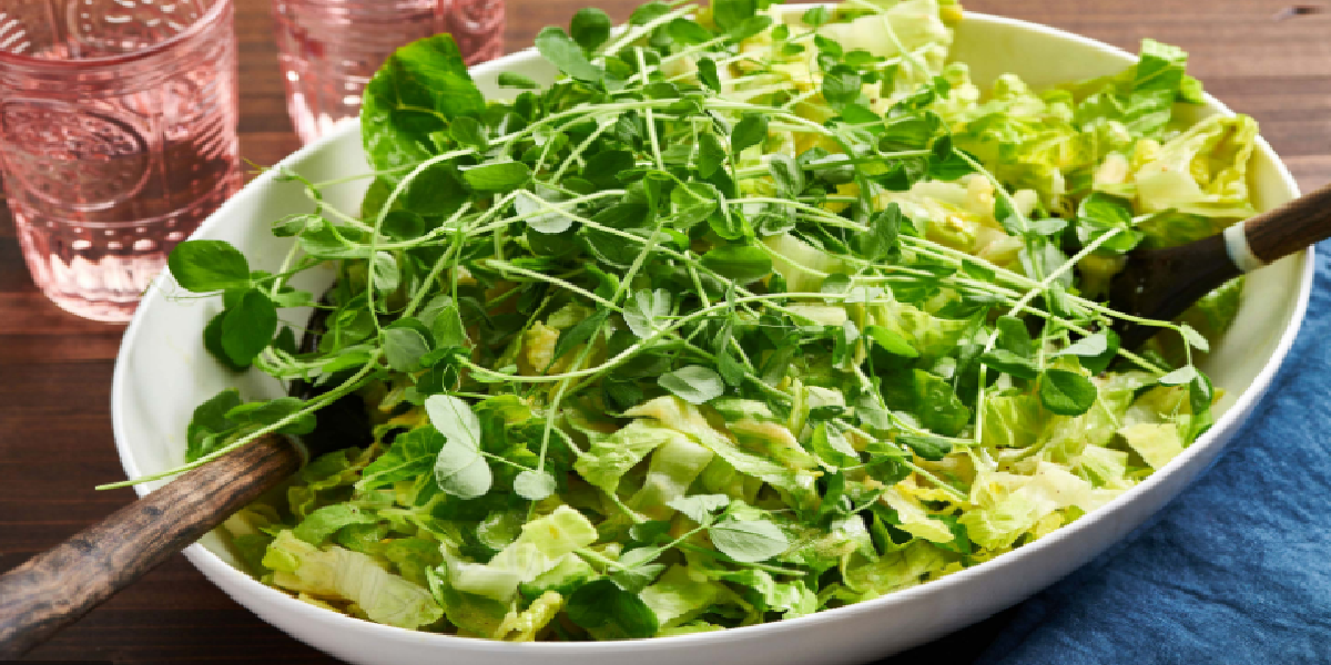 Salada de folhas verdes