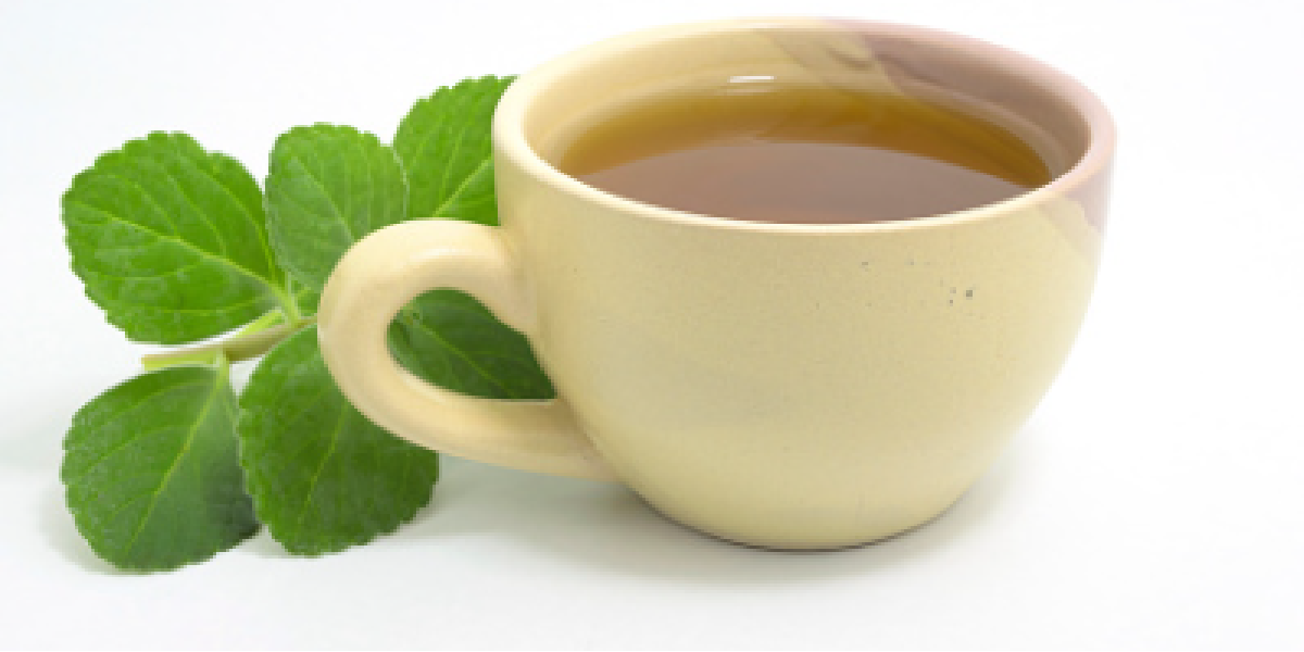Chá de boldo para vesícula inflamada