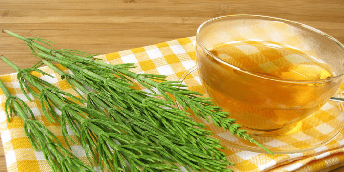 Chá de cavalinha para retenção de líquidos