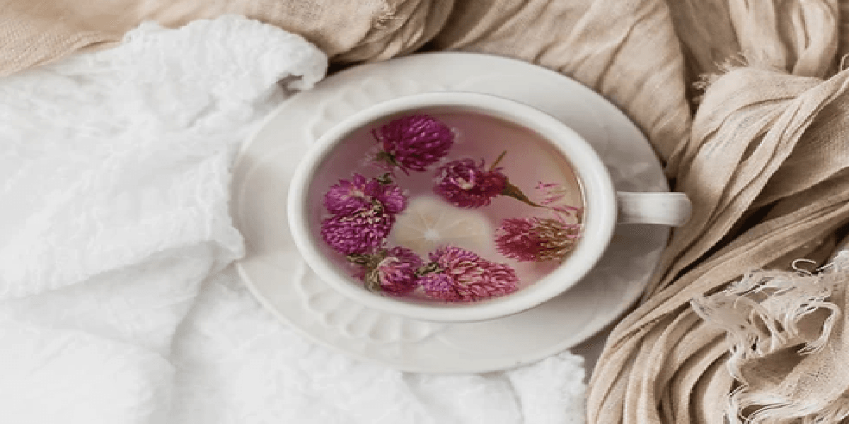 Chá de perpétua roxa para retardar o envelhecimento