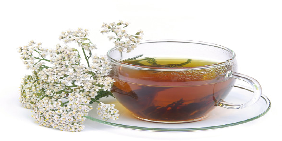 Chá de sabugueiro para gripe e resfriados